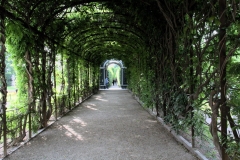 251 Schonbrunn